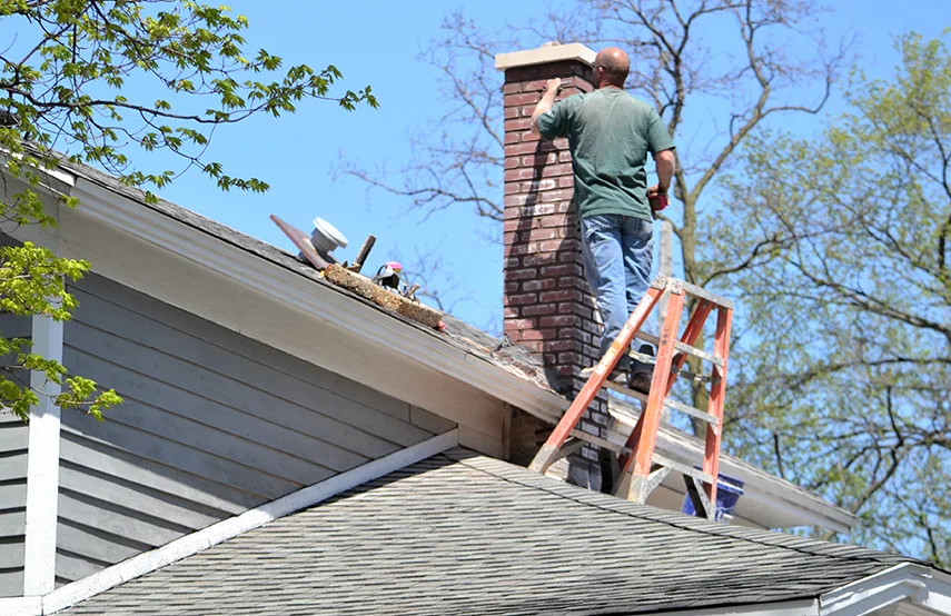 Chimney & Fireplace Inspections Services in North Druid Hills, GA